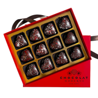 chocolat トライアル 20箱 wsd01canva-4093-500x500-