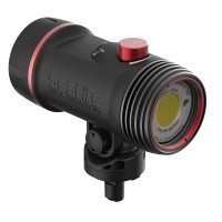 LAGOON/シークレット/SEC/Light My Fire 3枚 Sea Dragon 3000F with Color Boost Light Head