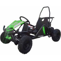 tm-cheetah3-green-1737471093-