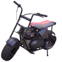 Trailmaster Storm 200 Mini Dirt Bike