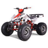 tt-cheetah120-platinum-red-