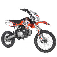 Apollo DB-X19 125cc Dirt Bike - FamilyGoKarts.com