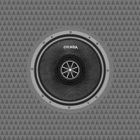 Cicada Audio CXX8 | 8