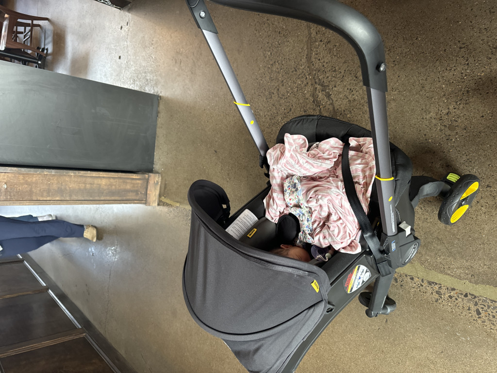 Doona Carseat + Stroller – Liz and Roo