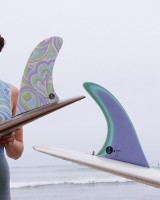 seea-capfin-collab-surffins-