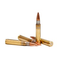 7.7 Japnese Arisaka 180gr FMJBT | Precision & Range Load