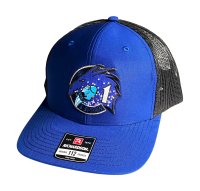 Crew-1 NASA SpaceX Dragon Cap | The Space Store