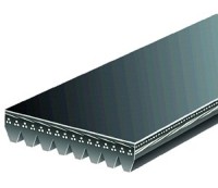 200J8 Poly V Micro-V Belt – 8 Ribs, Rubber, Made In USA By Polybelt.com